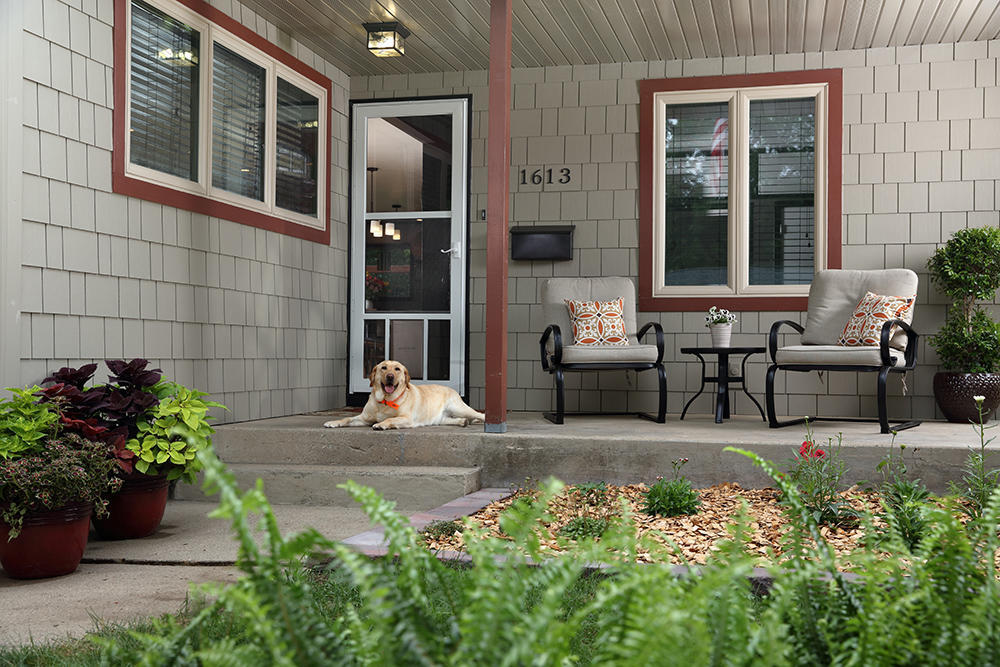 Friendly white lab sits in front of charming house having used the pet screen door